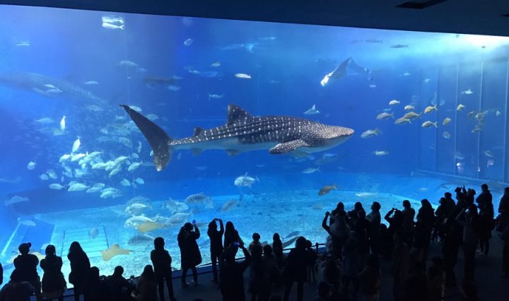 水族館